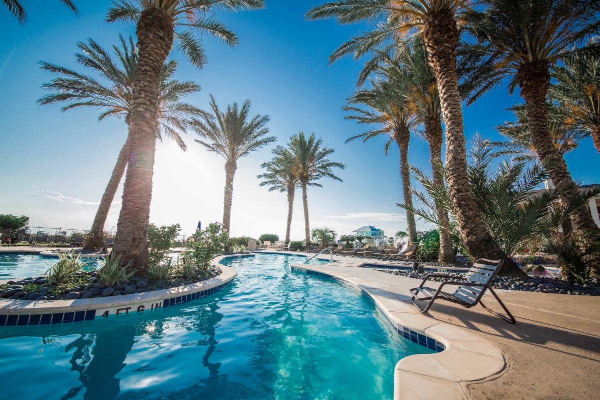 Palm-lined resort pool